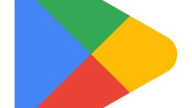Google Play Logo.webp