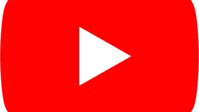 Youtube Premium Logo.webp