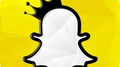 SnapChat Plus Logo.webp