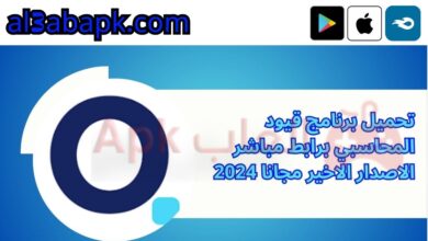 برنامج قيود المحاسبي