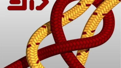 Knots 3D Logo.webp