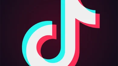 TikTok ReVanced Logo.webp