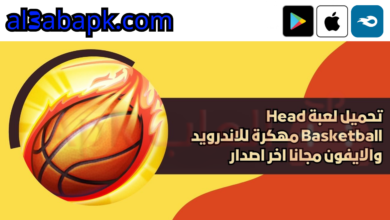 Head Basketball 4