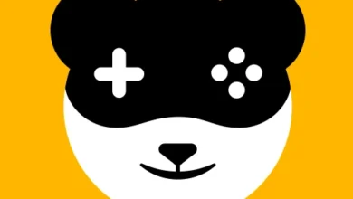 Panda Gamepad Pro Logo.webp