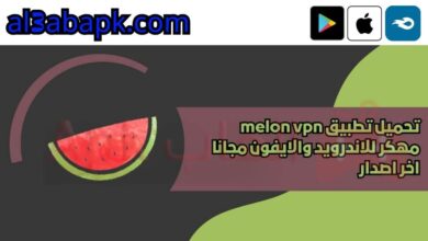 melon vpn