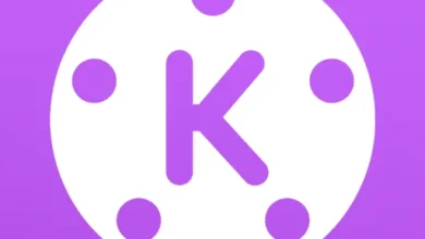 KineMaster Purple Logo.webp